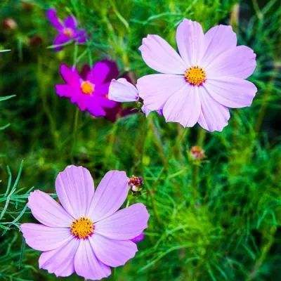 BET体育365投注官网下载手机版